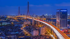 Yangpu Bridge